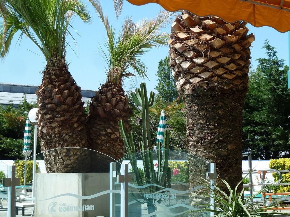 Hotel Cormoran リッチョーネ エクステリア 写真
